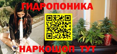 индика Кунгур