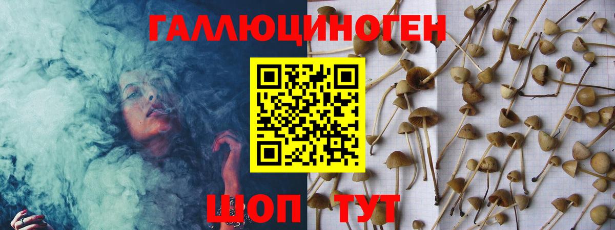 Армавир  Галлюциногенные грибы Psilocybe  Вход с VPN 